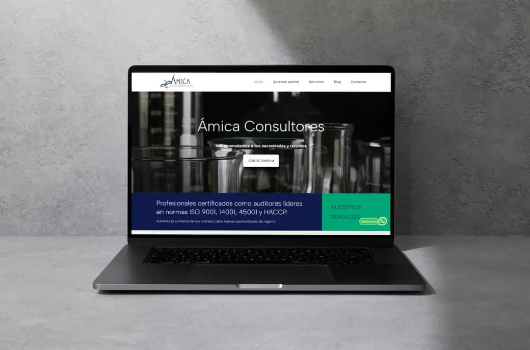 Amica Consultores